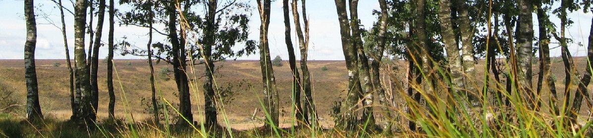 Natuurzorg Veluwe-Vallei